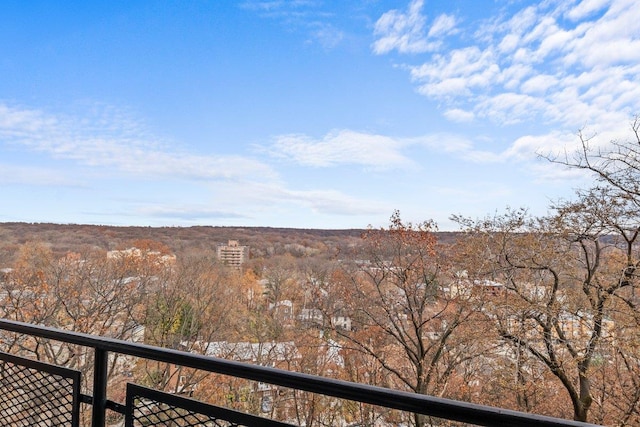 5500 Fieldston Rd Unit 5Cc, Bronx, NY 10471 - view of balcony
