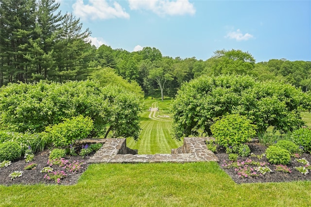 151 Long Ridge Rd, Danbury, CT 06810 - photo 41