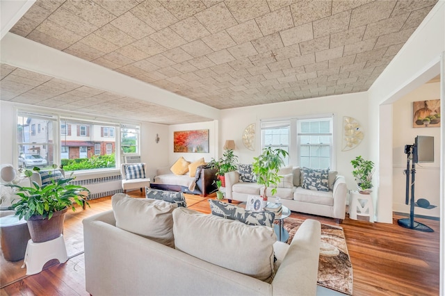 73 Bismark Ave, Valley Stream, NY 11581 - living area featuring plenty of natural light, hardwood / wood-style flooring, and radiator heating unit