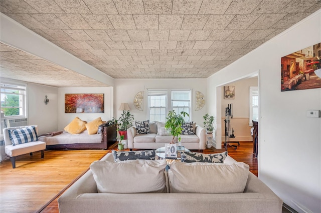 73 Bismark Ave, Valley Stream, NY 11581 - living room featuring wood finished floors