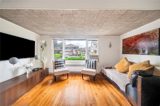 73 Bismark Ave, Valley Stream, NY 11581 - living area featuring light wood-style floors and radiator