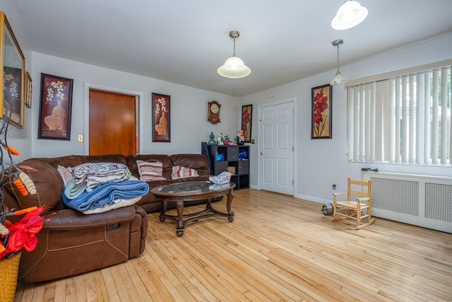 23 Sky Meadow Rd, Suffern, NY 10901 - living area featuring hardwood / wood-style flooring and radiator
