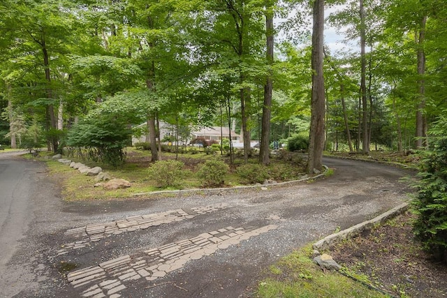 23 Sky Meadow Rd, Suffern, NY 10901 - view of street