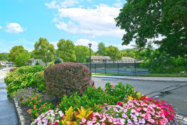 46 Manors Dr, Jericho, NY 11753 - photo 37