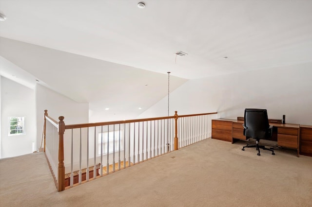 217 Spring Dr, East Meadow, NY 11554 - photo 18