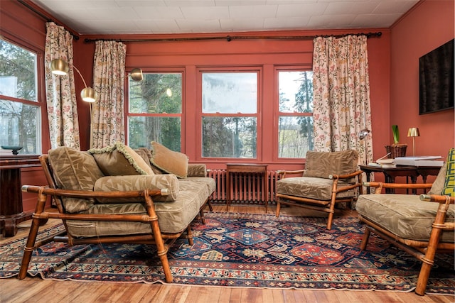 51 Saw Mill Rd, Delhi, NY 13757 - photo 16