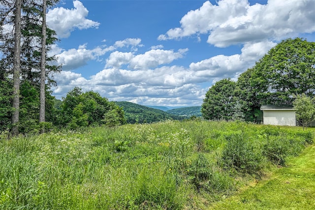 51 Saw Mill Rd, Delhi, NY 13757 - photo 49