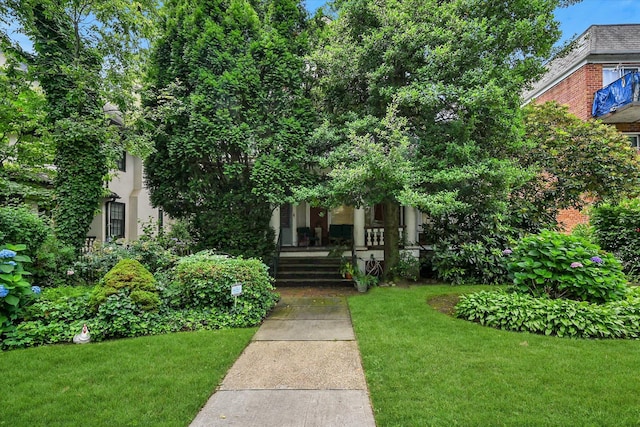 8436 Abingdon Rd, Kew Gardens, NY 11415 - photo 1