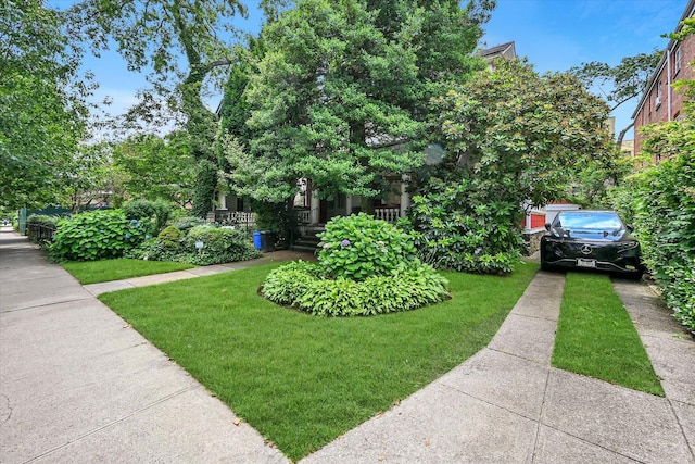 8436 Abingdon Rd, Kew Gardens, NY 11415 - photo 22