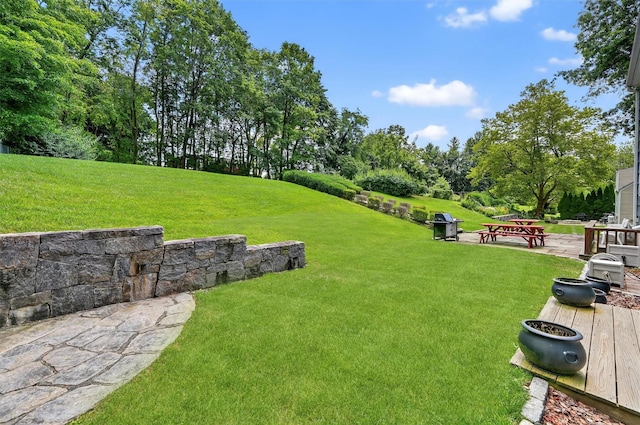 10 Haymont Ter, Briarcliff Manor, NY 10562 - photo 17