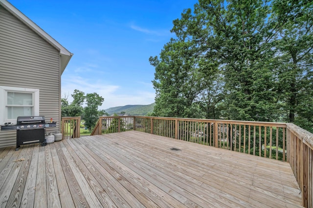 19 Cornell Peak, Pomona, NY 10970 - photo 34