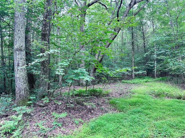 TBD Upper Cherrytown, Kerhonkson, NY 12446
