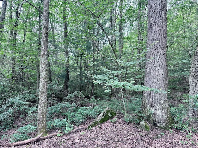 TBD Upper Cherrytown, Kerhonkson, NY 12446