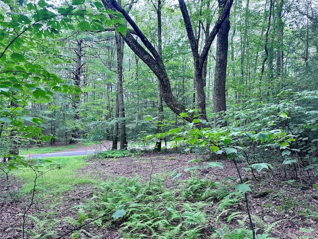 TBD Upper Cherrytown, Kerhonkson, NY 12446