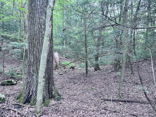 TBD Upper Cherrytown, Kerhonkson, NY 12446