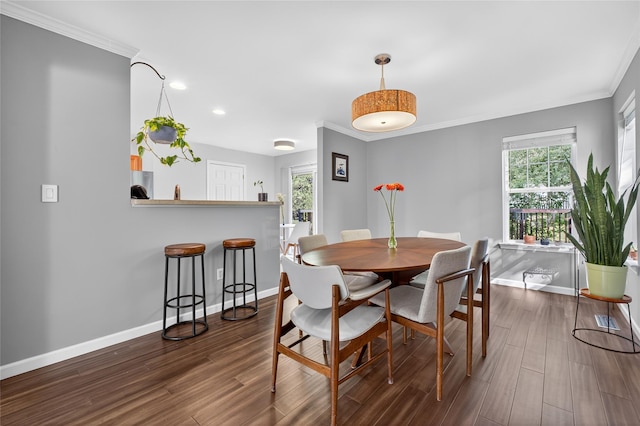 36 Bush Creek Ln, Poughquag, NY 12570 - dining space featuring dark wood-type flooring, plenty of natural light, crown molding, and recessed lighting