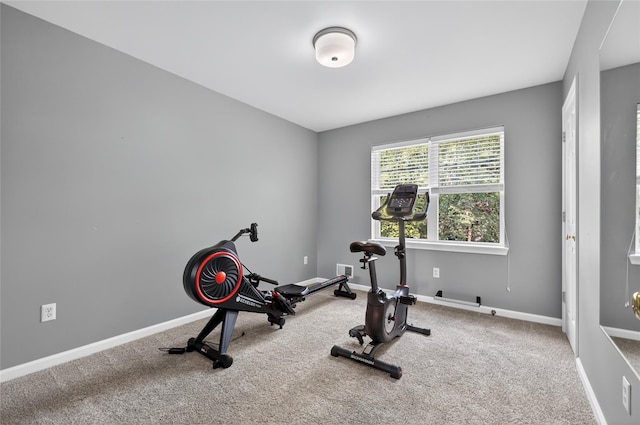 36 Bush Creek Ln, Poughquag, NY 12570 - workout room with carpet floors