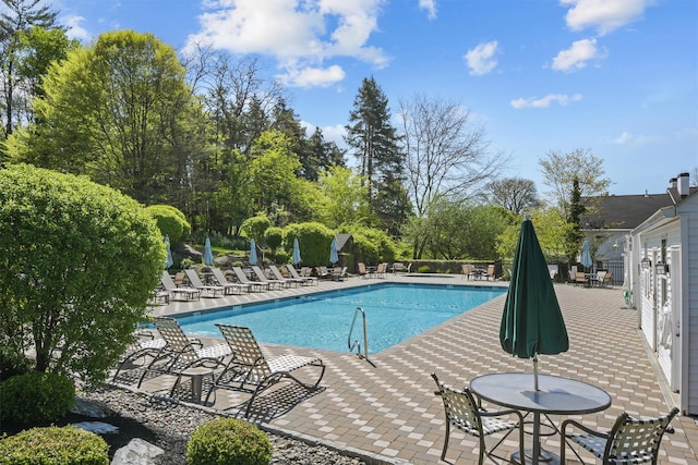 36 Bush Creek Ln, Poughquag, NY 12570 - community pool featuring a patio and view of scattered trees