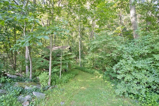3775 Rte 52, Stormville, NY 12582 - photo 8