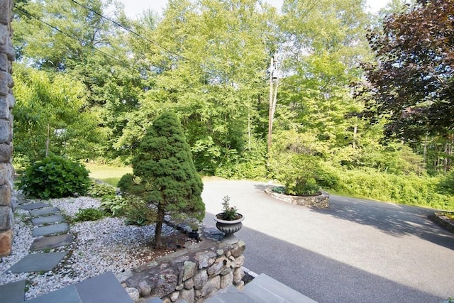 3775 Rte 52, Stormville, NY 12582 - photo 9