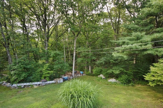 3775 Rte 52, Stormville, NY 12582 - photo 25