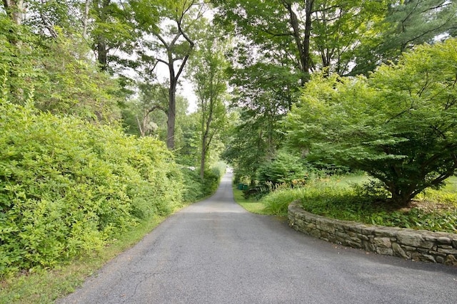 3775 Rte 52, Stormville, NY 12582 - photo 27