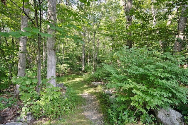 3775 Rte 52, Stormville, NY 12582 - photo 28