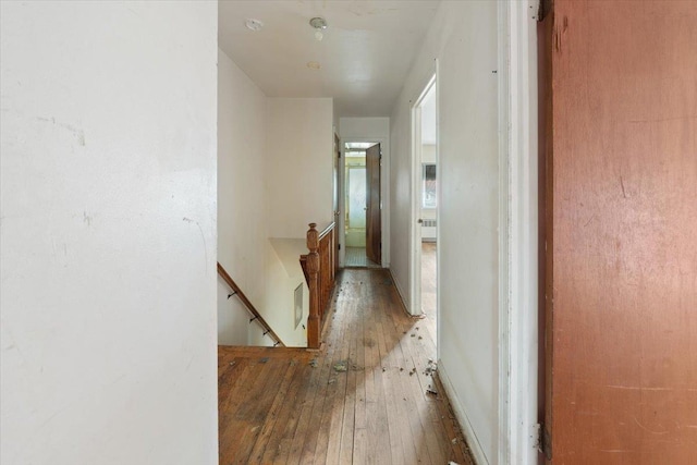 2814 Bruner Ave, Bronx, NY 10469 - photo 14