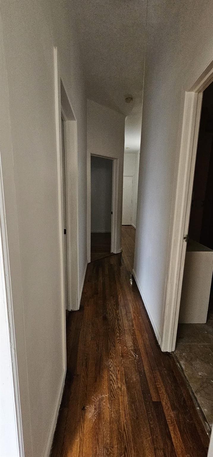 1468 Saint Lawrence Ave, Bronx, NY 10460 - hall featuring dark wood-style flooring and baseboards