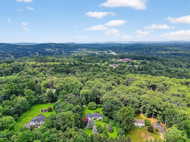 21 Greenlawn Rd, Katonah, NY 10536 - photo 39