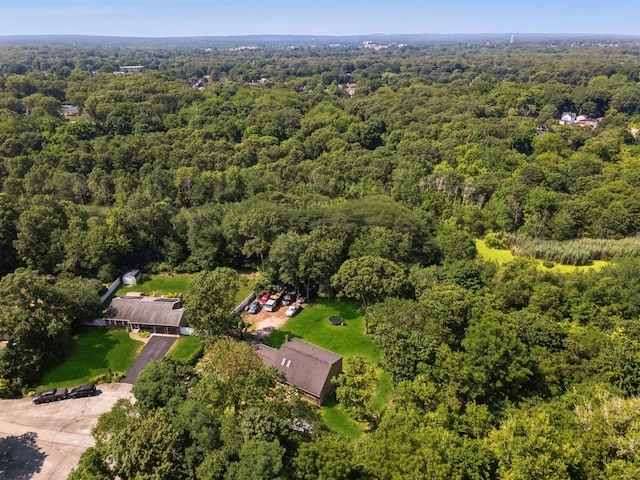 65 Fox Run Ln, Riverhead, NY 11901 - photo 36