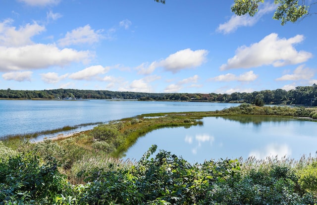 84 Oyster Shores Rd, East Hampton, NY 11937 - photo 30
