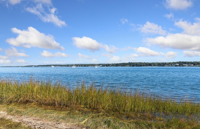 84 Oyster Shores Rd, East Hampton, NY 11937 - photo 31