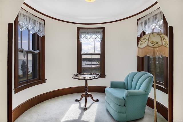 9 Convent Ln, Center Moriches, NY 11934 - living area with carpet and crown molding