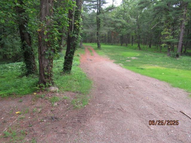 301 Mountain View Rd, Rhinebeck, NY 12572 - photo 2