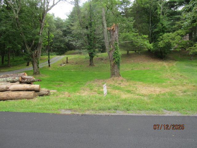 301 Mountain View Rd, Rhinebeck, NY 12572 - photo 4