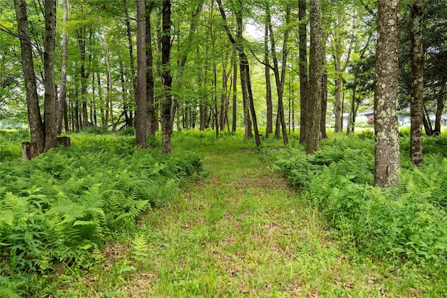 445 Lt Brender Hwy, Ferndale, NY 12734 - photo 41