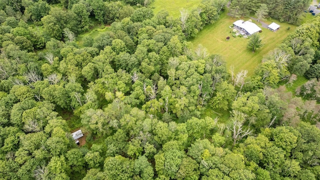 445 Lt Brender Hwy, Ferndale, NY 12734 - photo 44
