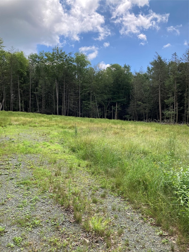 372 Ahrens Rd, Liberty, NY 12768 - photo 9