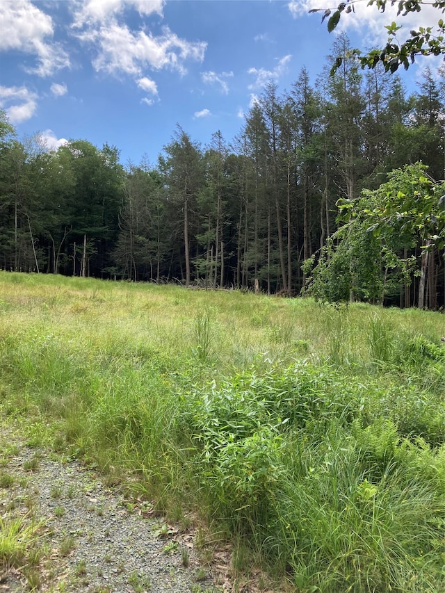 372 Ahrens Rd, Liberty, NY 12768 - photo 11