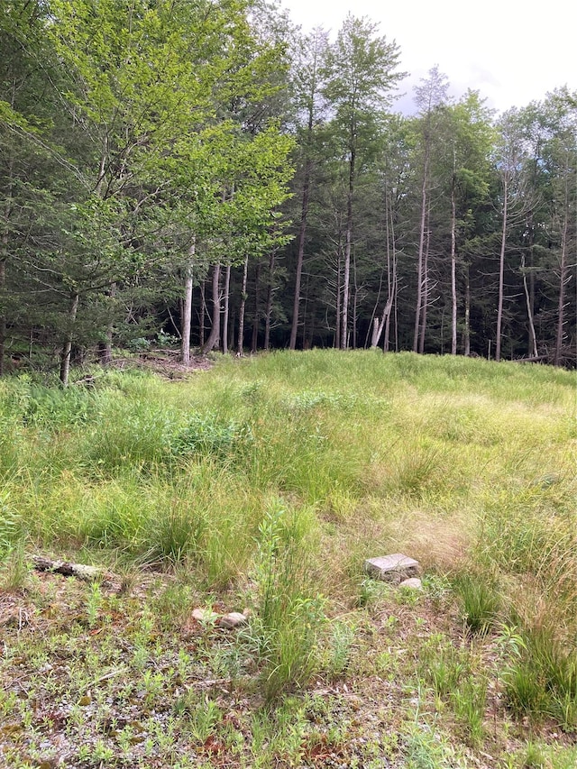 372 Ahrens Rd, Liberty, NY 12768 - photo 12