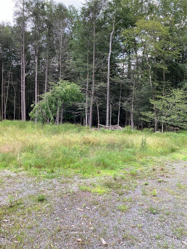 372 Ahrens Rd, Liberty, NY 12768 - photo 17