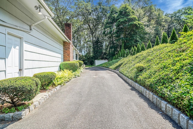 203 Deer Park Rd, Dix Hills, NY 11746 - view of asphalt driveway