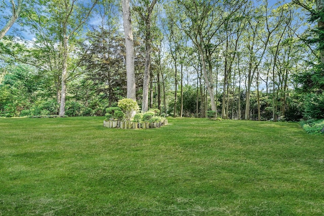 203 Deer Park Rd, Dix Hills, NY 11746 - view of green lawn