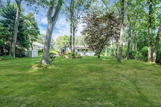 203 Deer Park Rd, Dix Hills, NY 11746 - view of green lawn with a shed