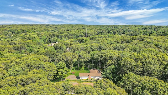 203 Deer Park Rd, Dix Hills, NY 11746 - view from above of property featuring a forest