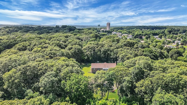 203 Deer Park Rd, Dix Hills, NY 11746 - view from above of property featuring a forest