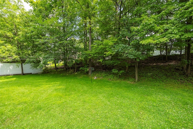 32 N Oakwood Ter, New Paltz, NY 12561 - photo 25