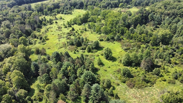 826 Burlingham Rd, Pine Bush, NY 12566 - photo 2