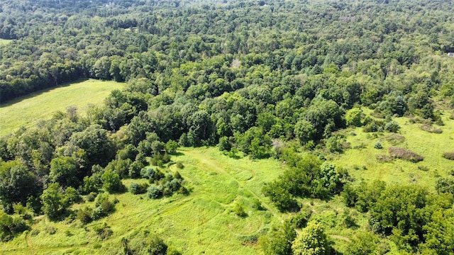 826 Burlingham Rd, Pine Bush, NY 12566 - photo 4
